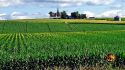 Senate To Mark Up Long Overdue Farm Bill